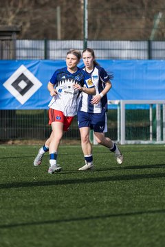 Bild 182 - wBJ Hamburger SV - Hertha BSC : Ergebnis: 2:1